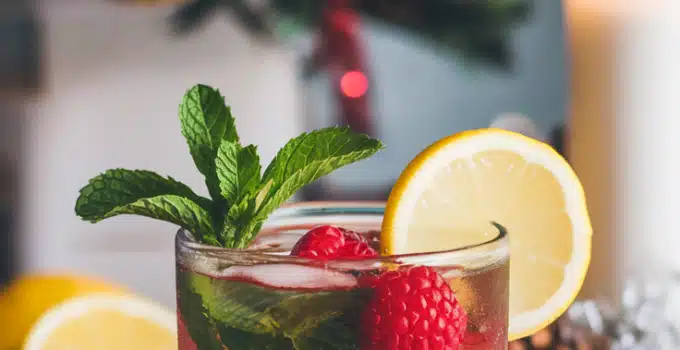 Raspberry Mint Mocktail