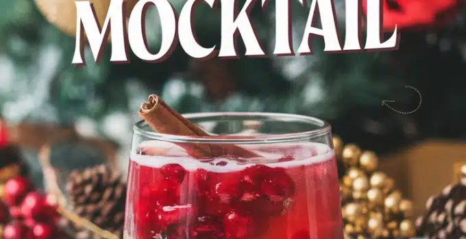 Spiced Cranberry Apple Mocktail