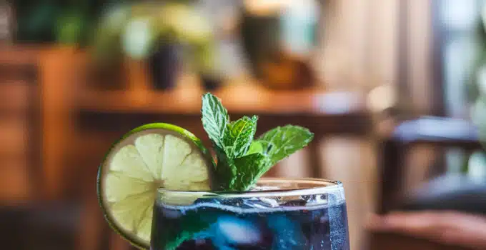Blueberry Mint Lime Mocktail