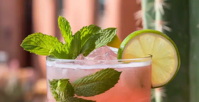 Prickly Pear Citrus Mocktail