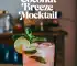 Tart Cherry Coconut Breeze Mocktail