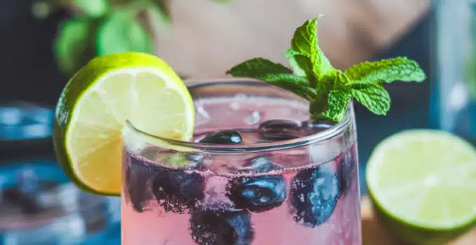 Blueberry Fizz Mocktail