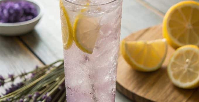 15 Refreshing Herbal Mocktails to Try This Summer