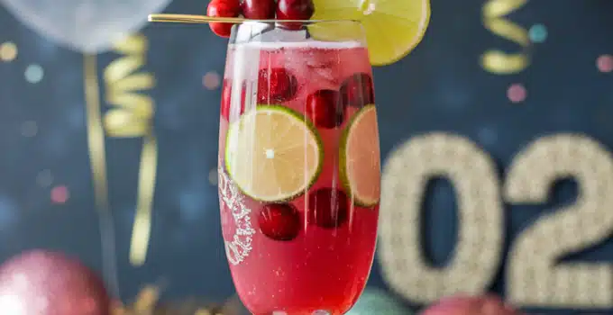 Festive Cranberry Burst Mocktail